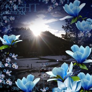 Meet your Posher, Sandi